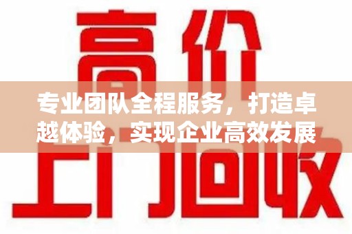 宜春专业团队全程服务，打造卓越体验，实现企业高效发展